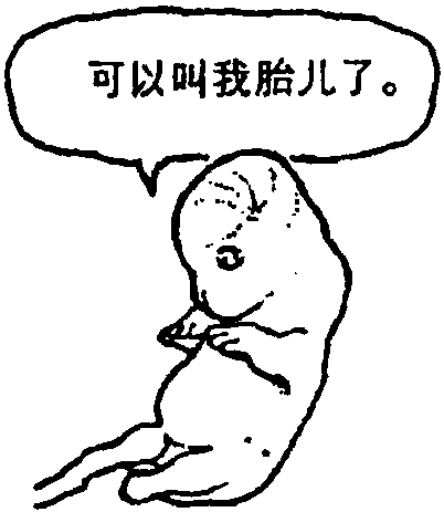 胎兒發(fā)育與十月胎教